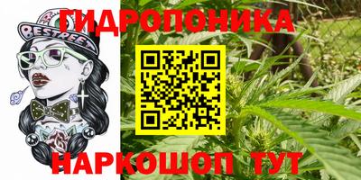 спайс Коммунар
