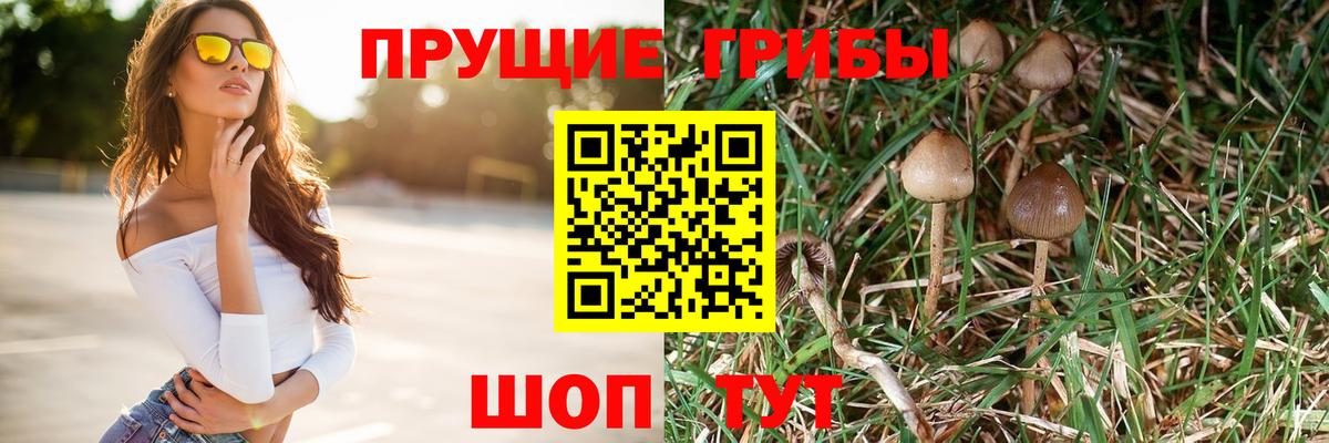 Псилоцибиновые грибы мицелий Кубинка